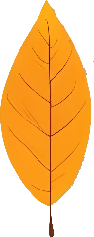 Downloadable Transparent Leaf PNG Image_18.webp